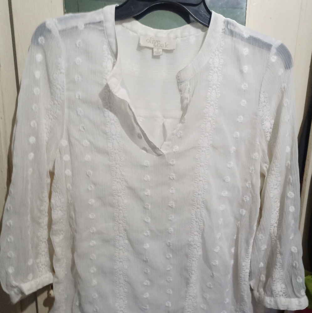 Sheer eyelet blouse